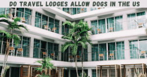 Do Travel Lodges Allow Dogs in the US