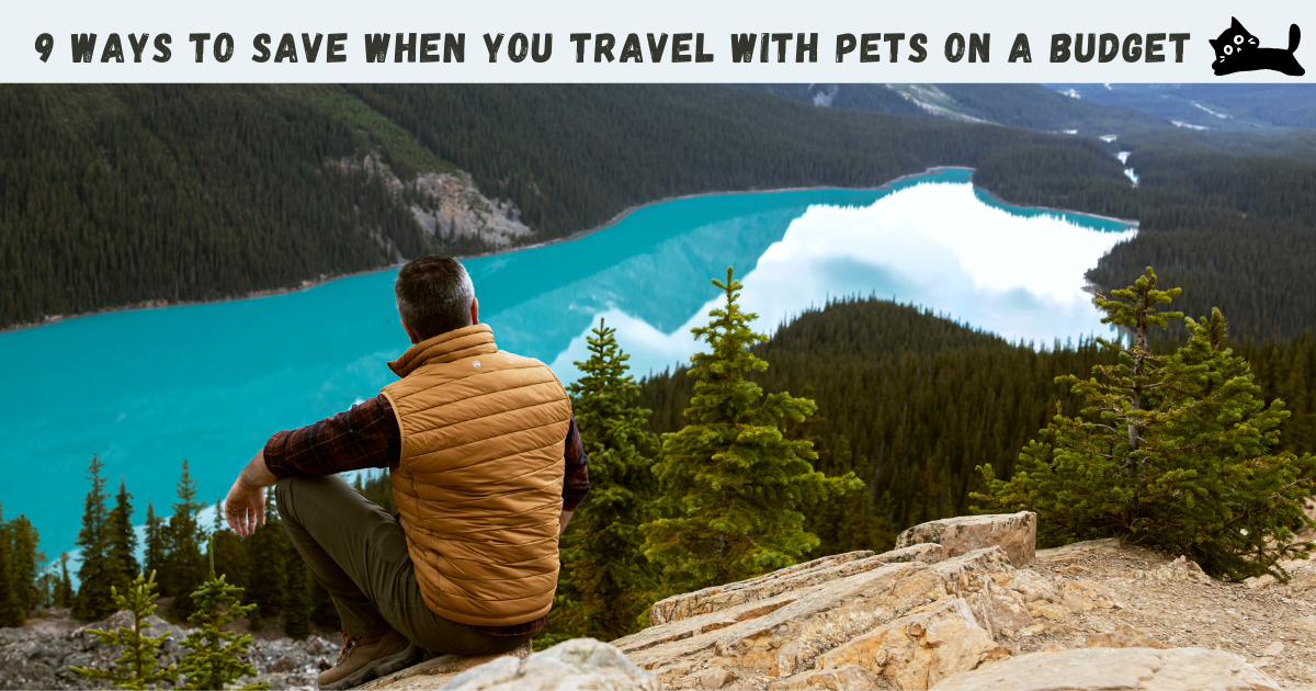 9 Ways to Save When You Travel with Pets on a Budget